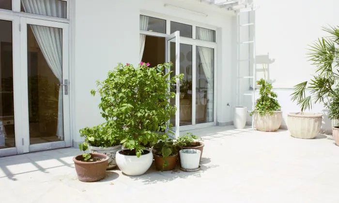 Very Nice Penthouse Serviced Apartment For Rent in District 1 HCM City 110sqm 1,400 USD/month