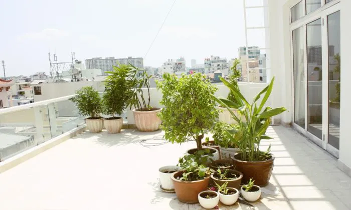 Very Nice Penthouse Serviced Apartment For Rent in District 1 HCM City 110sqm 1,400 USD/month