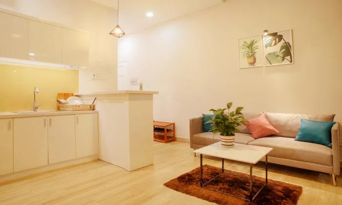Amazing One Bedroom Spring Homes in Tran Dinh Xu District 1 Ho Chi Minh City 45sqm 650 USD/month