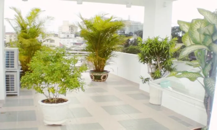 Beautifully Designed Serviced Apartment For Rent, District 1, HCMC 50sqm 700 USD/month