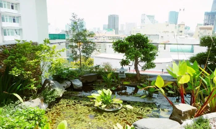 Modern Serviced Apartment For Rent With a Big Garden, Dist 1 HCMC 100sqm 800 USD/month