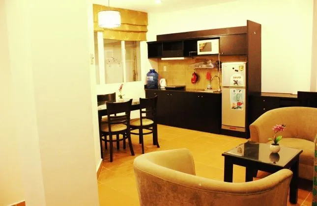 Conveniences Serviced Apartment For Rent - District 1- HCM City 50sqm 450 USD/month