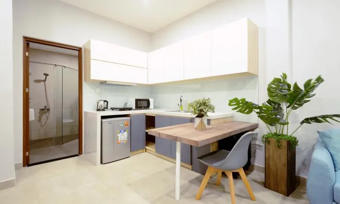 Studio Babylon Serviced Apartment in Phan Ton Str District 1 Ho Chi Minh City 40sqm 650 USD/month