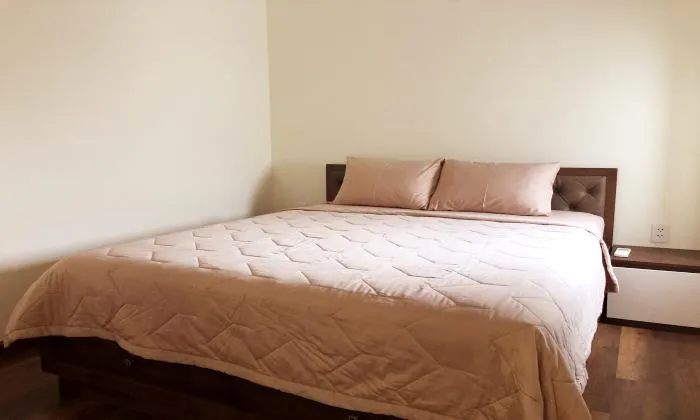 Luxury One Bedroom Apartment For Rent in Dakao District 1 Ho Chi Minh City 60sqm 900 USD/month