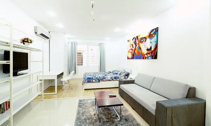 Cute Studio Apartment For Lease in District 1 Ho Chi Minh City 35sqm 350 USD/month