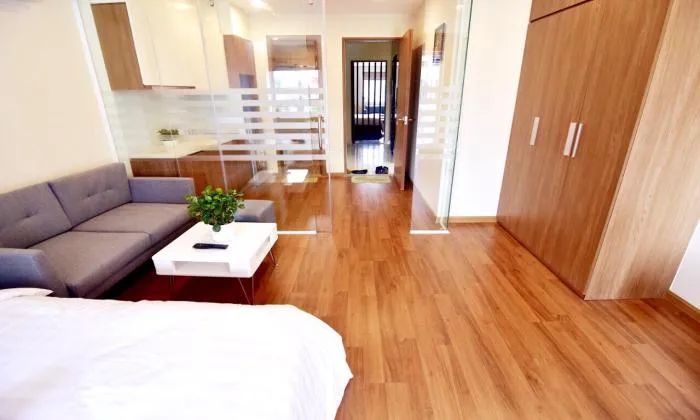 Modern and Bright Light One Bedroom Serviced Apartment in Dist 1 HCM City 40sqm 800 USD/month