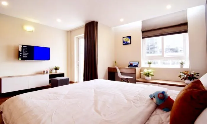 Modern and Bright Light One Bedroom Serviced Apartment in Dist 1 HCM City 40sqm 800 USD/month