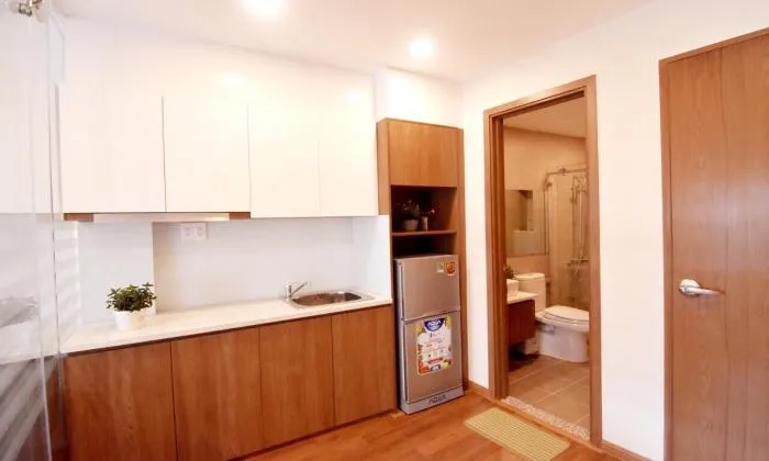 Modern and Bright Light One Bedroom Serviced Apartment in Dist 1 HCM City 40sqm 800 USD/month