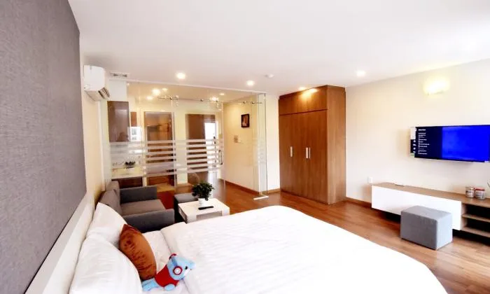 Modern and Bright Light One Bedroom Serviced Apartment in Dist 1 HCM City 40sqm 800 USD/month