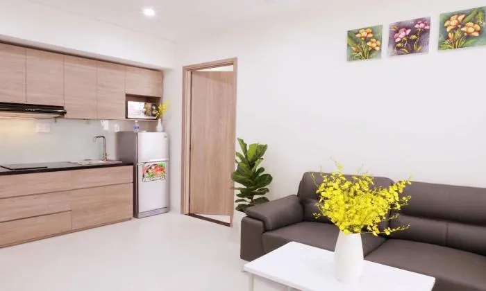 Studio Apartment For Rent in Khouse Building in Dakao District 1 Ho Chi Minh City 45sqm 600 USD/month
