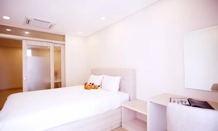 Modern One Bedroom Apartment For Rent in Center HCMC 45sqm 750 USD/month