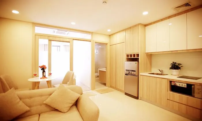 Modern One Bedroom Apartment For Rent in Center HCMC 45sqm 750 USD/month