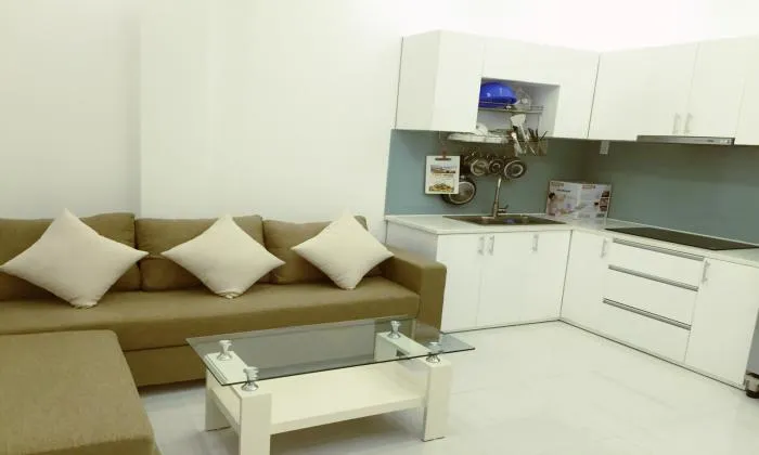 Modern Decoration One Bedroom Apartment For Rent District 1 HCM City 40sqm 450 USD/month