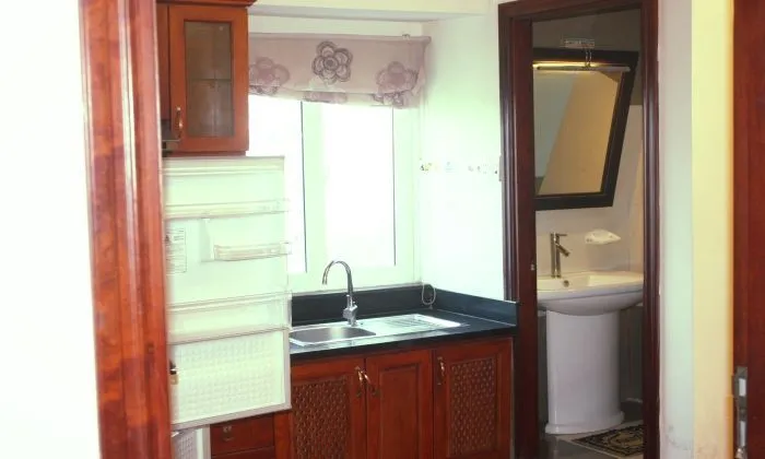 Serviced Apartment Rentals In Dist. 2, Saigon 40sqm 550 USD/month