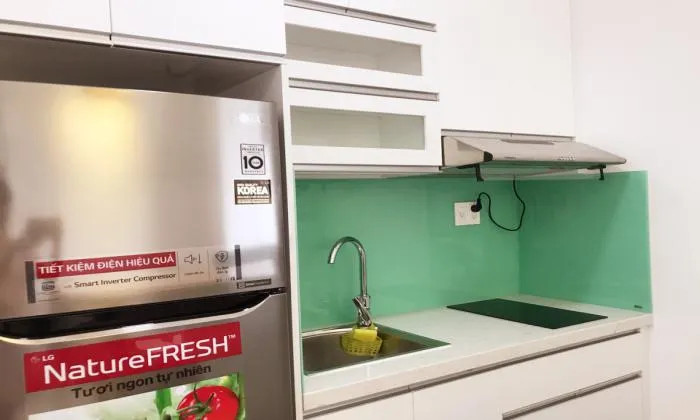 Nice And Bright One Bedroom Apartment in Thao Dien District 2 HCMC 40sqm 550 USD/month