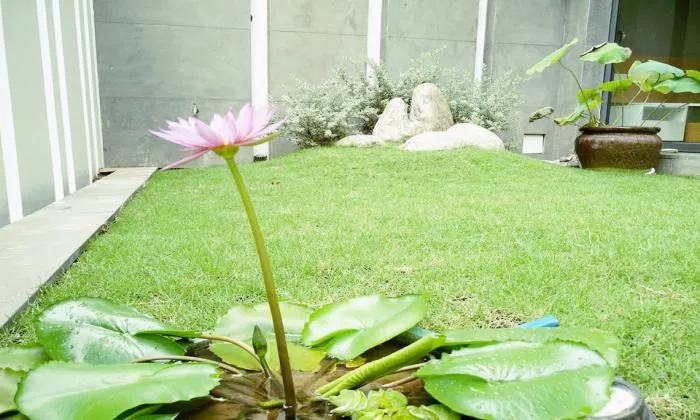 Charming Space For Living In Thao Dien District 2 HCM City 35sqm 600 USD/month