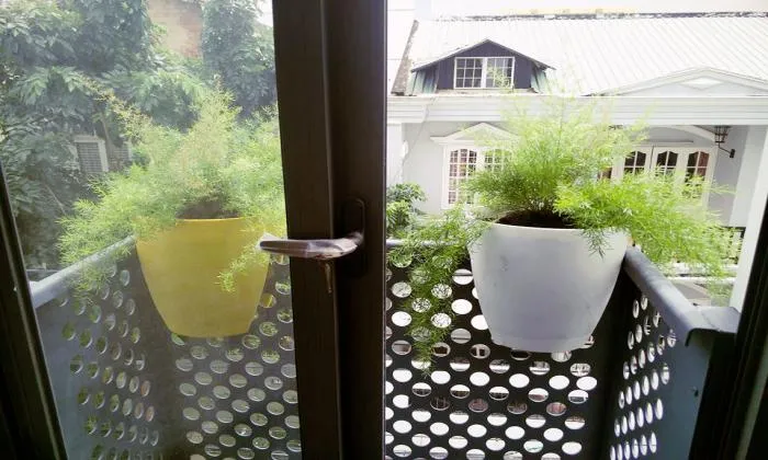 Charming Space For Living In Thao Dien District 2 HCM City 35sqm 600 USD/month