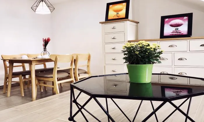 Duplex One Bedroom Serviced Apartment in Thao Dien Ho Chi Minh City 60sqm 800 USD/month