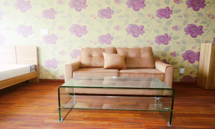 Studio Serviced Apartment in Thao Dien, District 2, HCM City 40sqm 500 USD/month