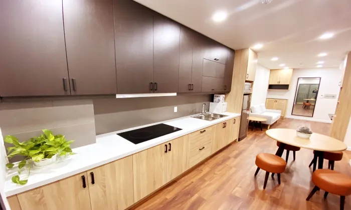 One Bedroom Serviced Apartment For Rent in Ky Dong Street District 3 Ho Chi Minh City 45sqm 650 USD/month