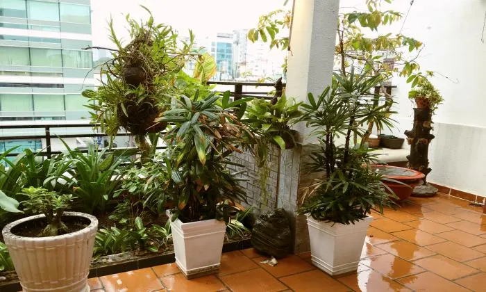 Homy Penthouse Serviced Apartment For Rent  in District 3 HCMC 250sqm 1,500 USD/month