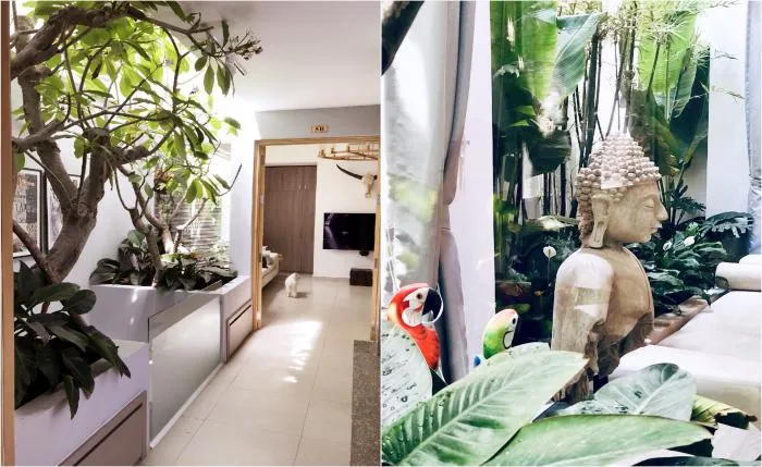 Amazing Penthouse Apartment For Rent in District 4 Ho Chi Minh City 300sqm 3,000 USD/month