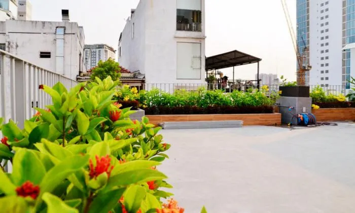 Fresh Living at One Bedroom Three Oaks Apartment District 4 Ho Chi Ming City 42sqm 750 USD/month