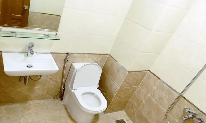 Serviced Apartment For Rent in Him Lam Urban District 7 Ho Chi Minh City 35sqm 550 USD/month