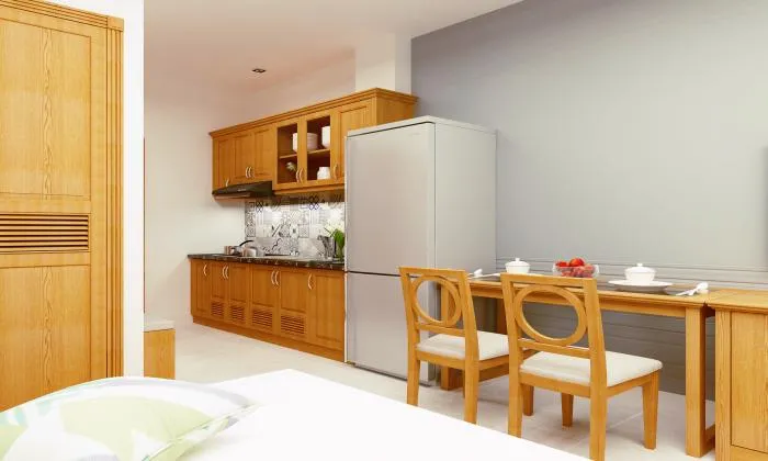 Grabrina Serviced Apartment in Phu My Hung District 7 HCMC 30sqm 700 USD/month