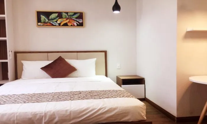 Fantastic Studio Serviced Apartment For Lease in Binh Thanh Ho Chi Minh City 24sqm 450 USD/month