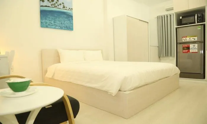 Cool  Studio Serviced Apartment For Lease in Binh Thanh District HCMC 35sqm 450 USD/month