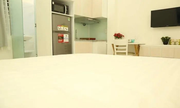 Cool  Studio Serviced Apartment For Lease in Binh Thanh District HCMC 35sqm 450 USD/month