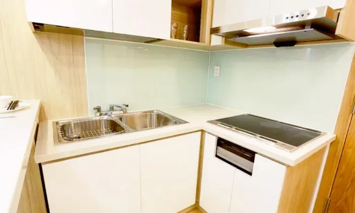 Sightly Serviced Apartment in Binh Thanh District Ho Chi Minh City 40sqm 800 USD/month
