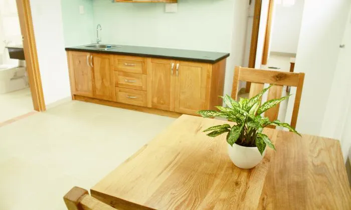 One Bedroom Japanese Serviced Apartment in Binh Thanh HCM City 45sqm 650 USD/month
