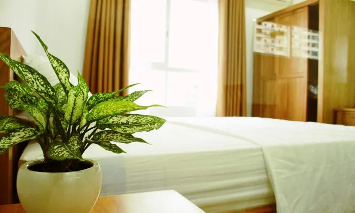 One Bedroom Japanese Serviced Apartment in Binh Thanh HCM City 45sqm 650 USD/month