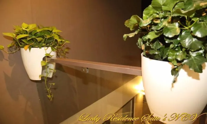 Lucky Residence Suite For Rent in Binh Thanh District Ho Chi Minh City 40sqm 700 USD/month