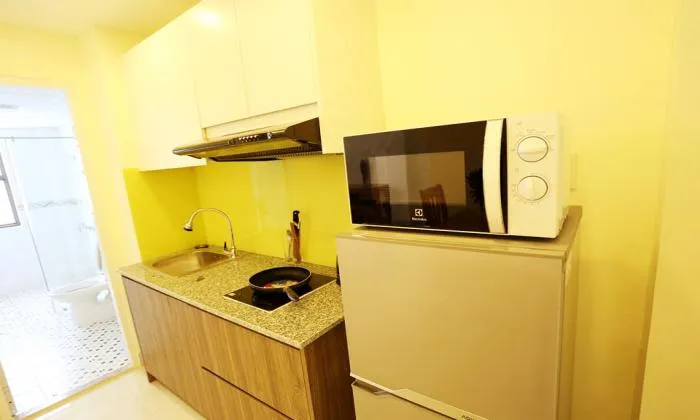 Studio Serviced Apartment in Saigon River Binh Thanh District HCMC 35sqm 550 USD/month