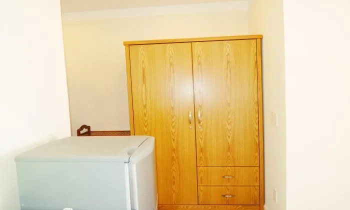Amazing Serviced Apartment For Rent, Binh Thanh District, HCM City 50sqm 600 USD/month