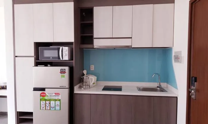 ROME Serviced Apartment For Rent in Binh Thanh District Ho Chi Minh City 35sqm 600 USD/month