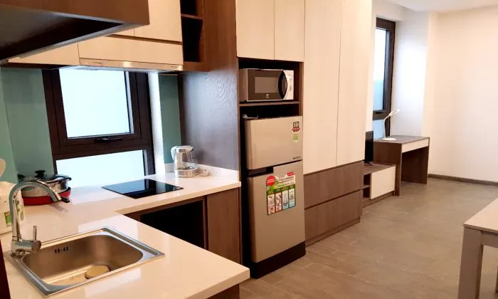 Amazing Studio Serviced Apartment For Rent in Nguyen Huu Canh St Binh Thanh HCMC 30sqm 750 USD/month