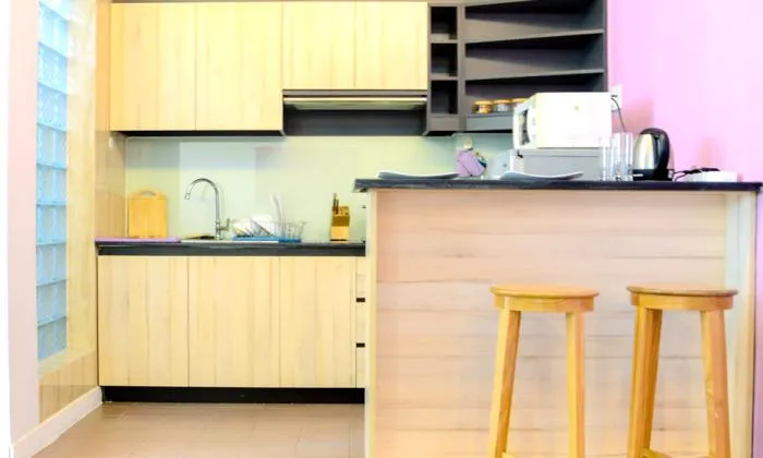 Nice Studio Serviced Apartment For Rent in Tan Binh District HCMC 60sqm 800 USD/month