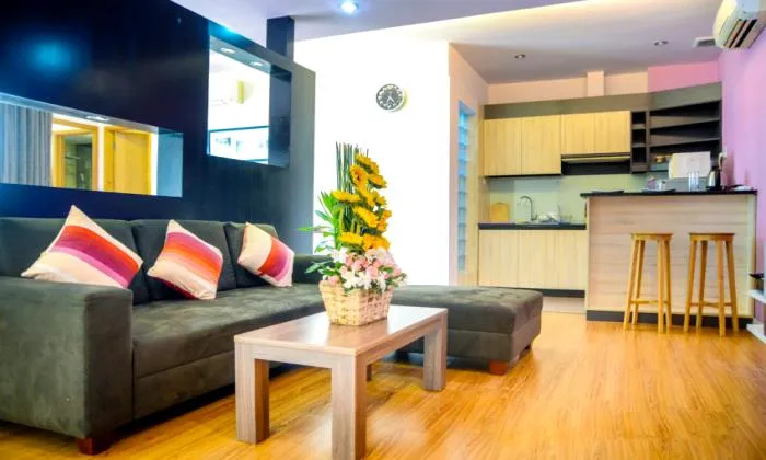 Nice Studio Serviced Apartment For Rent in Tan Binh District HCMC 60sqm 800 USD/month