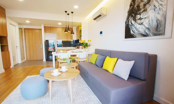 One Bedroom Republic Plaza Apartment in Tan Binh HCMC 50sqm 630 USD/month