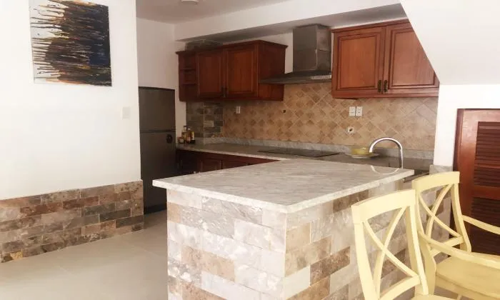 Newly Renovation Four Bedrooms Villa in Thao Dien District Ho Chi Minh City 300sqm 2,500 USD/month