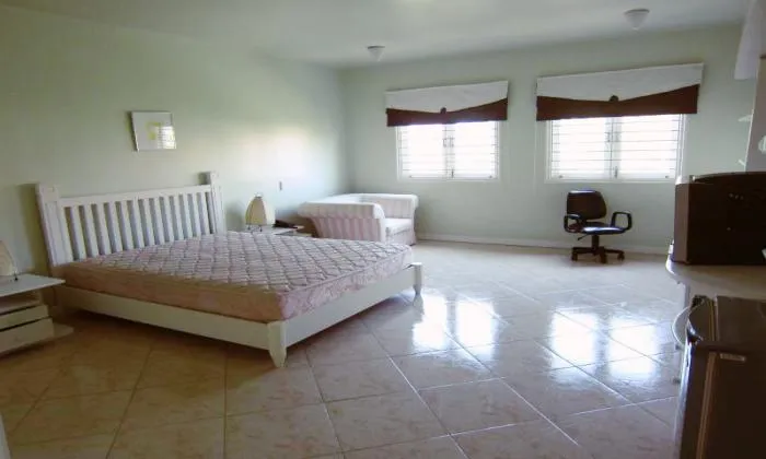 Very Big Usual Area Villa For Rent in Thao Dien District 2 HCM City 450sqm 4,500 USD/month