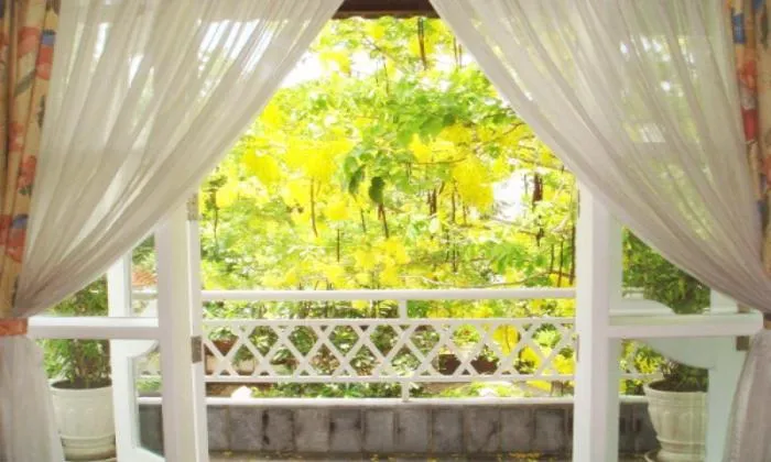 Amazing Luxury Villa For Lease in Thao Dien Ho Chi Minh City 550sqm 8,000 USD/month