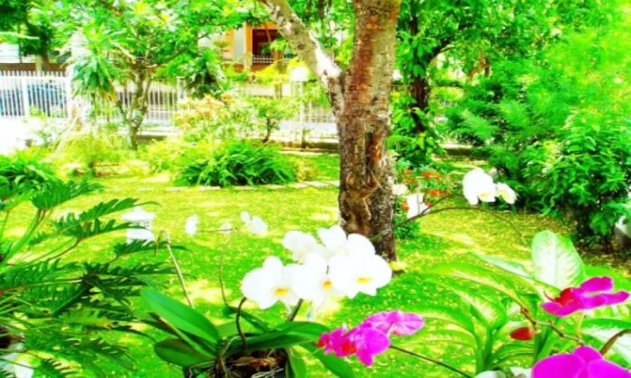 Amazing Luxury Villa For Lease in Thao Dien Ho Chi Minh City 550sqm 8,000 USD/month