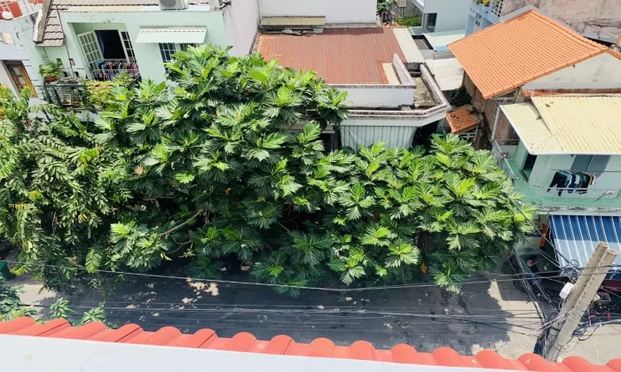 Four Bedroom House For Rent in Road 62 Thao Dien District 2 Ho Chi Minh City 300sqm 1,500 USD/month