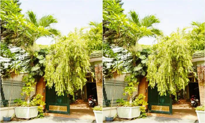 Nice Villa Garden For Rent in Thao Dien Ho Chi Minh City 200sqm 1,800 USD/month