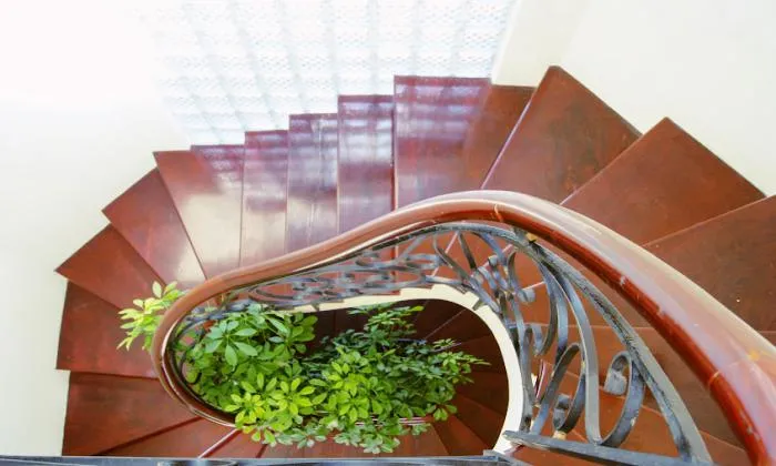 Nice Villa Garden For Rent in Thao Dien Ho Chi Minh City 200sqm 1,800 USD/month